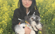 网络营销与直播电商专业教师